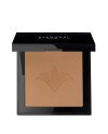 Stendhal Poudre Compacte Perfectrice 131 Ambre 9g