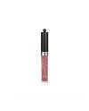 Bourjois Bj Labial Effet 3d Fabuleux Gloss 24h