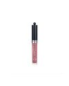 Bourjois Bj Labial Effet 3d Fabuleux Gloss 24h