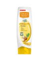 Natural Honey Wash y Go Acondicionador Seco 330ml