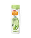 Natural Honey Wash y Go Champú Graso 400ml