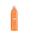 Farmavita Argan Sublime Champú 250ml