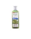 Naturaleza Y Vida Champú Sensitive Anticaspa 300ml