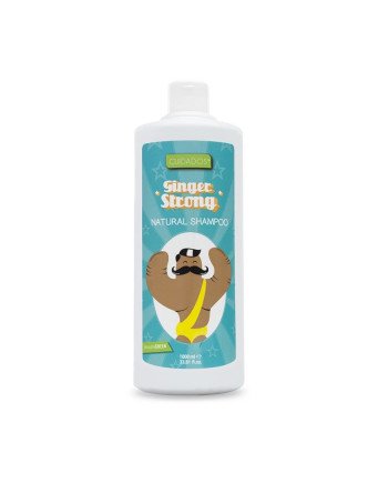 Valquer Champú Jengibre Ginger Strong 1000ml