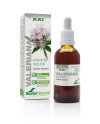 Soria Extracto Valeriana S Xxi 50ml