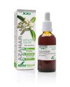 Soria Extracto Azahar S Xxi 50ml
