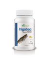 Alecosor Higabac 400 Mg 125 Per