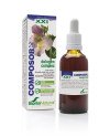 Soria Composor 20 Harpa S Xxi 50ml