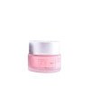Diet Esthetic Himalayan Goji Crema Antienvejecimiento 50ml