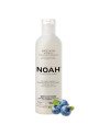 Noah Arandanos Anti-Amarillo Mascarilla Capilar 250Ml