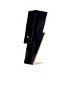 BAD BOY eau de toilette vaporizador 100 ml