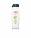 CHAMPÚ PURIFICANTE árbol de té + menta 750 ml