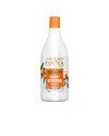 CHAMPÚ REPARADOR argán + keratina 750 ml