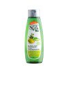 GEL DUCHA BIO ECOCERT regenerador argán & aloe vera 500 ml