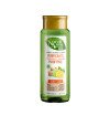 ECO PURIFICANTE jengibre y limón champú 300 ml