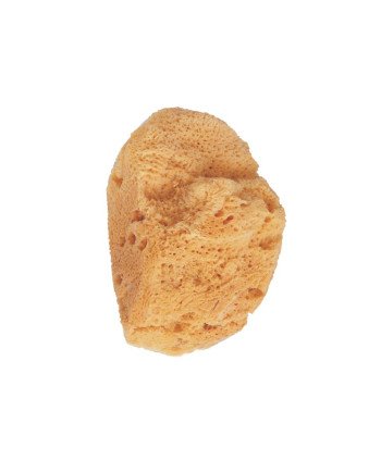 ESPONJA de baño natural marina 1 pz