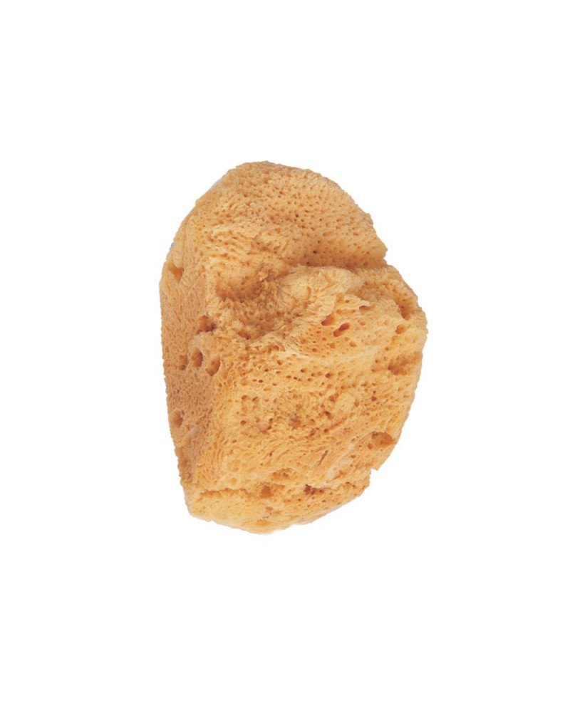 ESPONJA de baño natural marina 1 pz