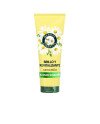 HERBAL ESSENCE CAMOMILA brillo y revitalizante acondicionador 250 ml