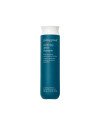 CLARIFYING DETOX champú 236 ml