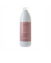 AMETHYSTE CHROMA color protective shampoo 1000 ml