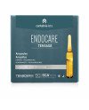 ENDOCARE TENSAGE ampollas 10 x 2 ml