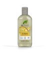 VITAMINA E champú 265 ml