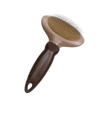 CARDA ovalada pequeña 1 u