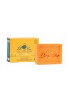 CHAMPÚ SÓLIDO revitalizante 2 en 1 75 gr
