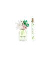 DAISY WILD ESTUCHE 2 pz