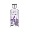 CIELI DI SETA edp vapo 100 ml
