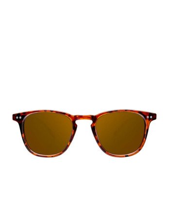 WALL TORTOISE POLARIZADA 1 u