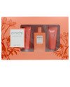 AMICHI MANDARINE MUSK LOTE 3 pz