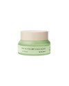 PHYTO PLUMP COLLAGEN day cream 50 ml