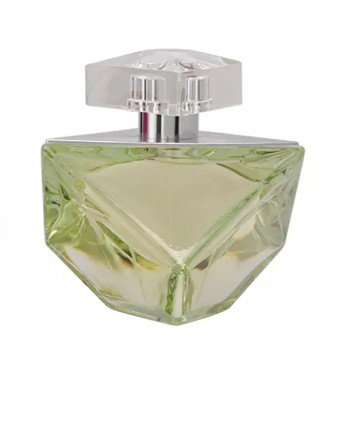 BELIEVE eau de parfum vaporizador 100 ml