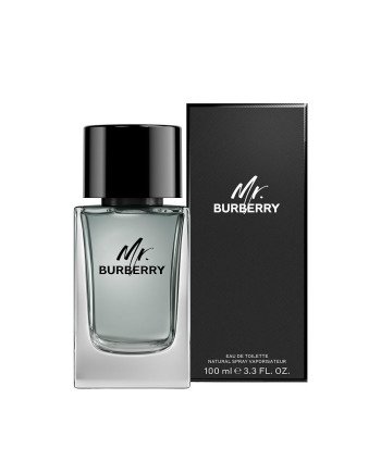 MR BURBERRY eau de toilette vaporizador 100 ml