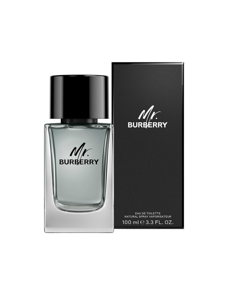 MR BURBERRY eau de toilette vaporizador 100 ml