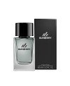 MR BURBERRY eau de toilette vaporizador 100 ml