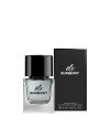 MR BURBERRY edt vapo 50 ml