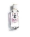 FEUILLE DE THÉ agua perfumada bienestar 100 ml