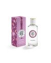 GINGEMBRE agua perfumada bienestar 100 ml
