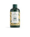 GINGER champú 250 ml