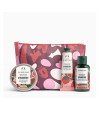 MINI STRAWBERRY ESTUCHE 4 pz