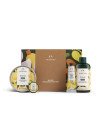 MEDIUM MANGO ESTUCHE 4 pz