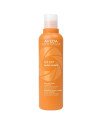 Aveda Sun Care Hair And Body Cleanser 250 ml