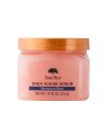 Tree Hut Exfoliante Corporal Rosa De Marruecos 510g
