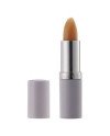 Elizabeth Arden Eight Hour Protector Labial Spf15 3,7g