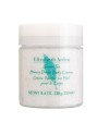 Elizabeth Arden Green Tea Honey Drops Body Cream 250ml