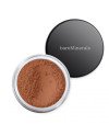 Bareminerals All Over Face Color Bronzer Warmth